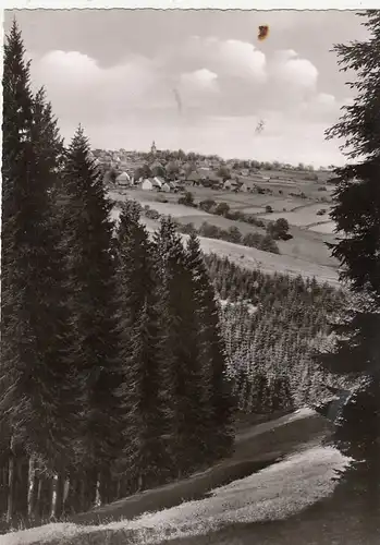 Hohe Geiss/Oberharz, Blick vom Lampertsberg gl1958 G2307