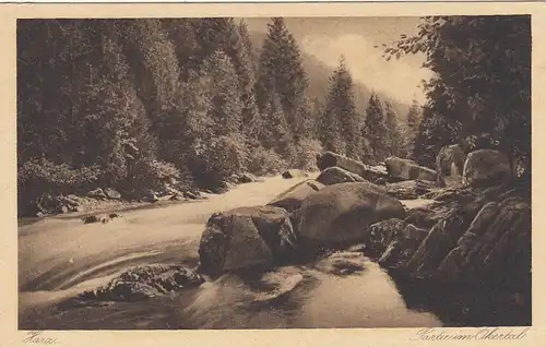 Harz, Partie im Okertal ngl G2063