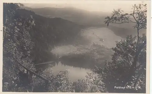 Feldsee im Schwarzwald, ngl G0362