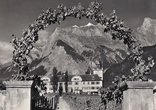 Maienfels, Graubünden, Schloss Salenegg mit Falknis ngl G0370