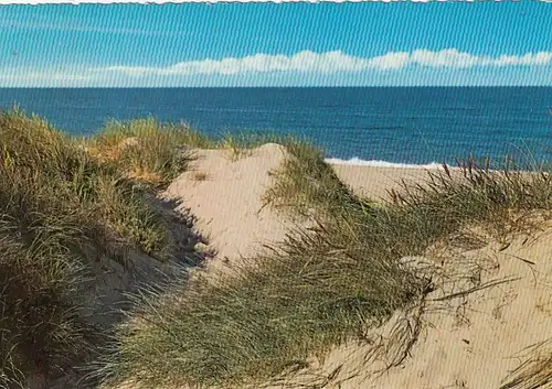 Nordseeinsel Sylt, Dünen am Meer gl1966 F6483