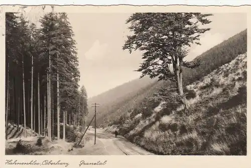 Hahnenklee, Oberharz, Grassetal gl1942 G2171