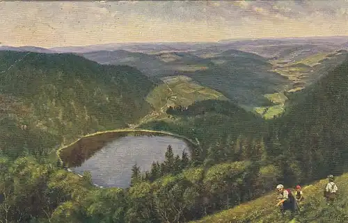 H.HOFFMANN Feldberg-Seebuck, Schwarzwald, Blick auf den Feldsee gl1912 F9210