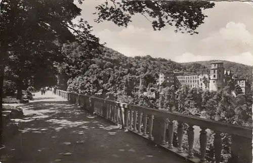 Heidelberg, Scheffelterrasse und Schloß gl1958 F8831