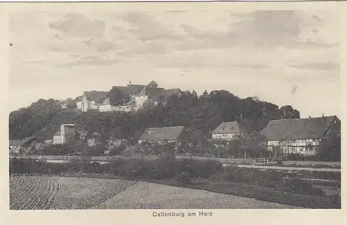 Catlenburg, Harz, Panorama ngl G2504