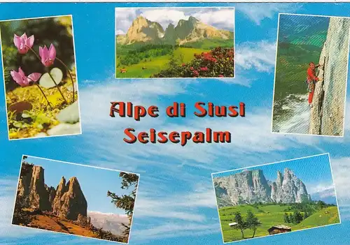 Dolomiti, Alpe di Siusi , Seiseralm, Mehrbildkarte ngl G0546