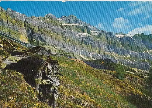 Dolomiti, Strada delle Dolomiti al Gruppo Sella ngl G0639