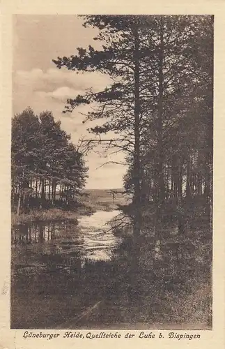 Lüneburger Heide, Quellteiche der Luhe bei Bispingen gl1915 G3063