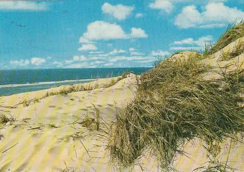 Nordseebad Baltrum, Dünen und Meer gl1973 G2734