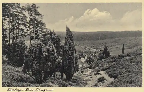 Lüneburger Heide, Totengrund feldpgl1944 G3203