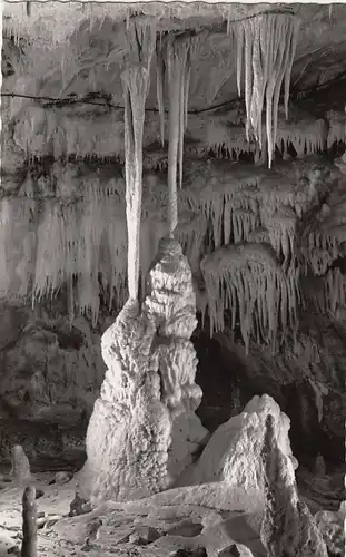 Erpfingen, Schwäb.Alb, Bärenhöhle, Karlshöhle ngl F9731