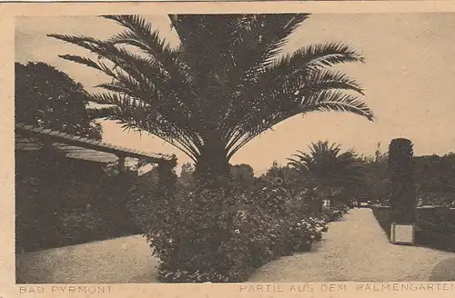 Bad Pyrmont. Partie aus dem Palmengarten gl1931 G3363