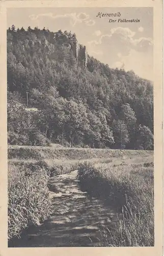 Herrenalb Schwarzwald, Der Falkenstein ngl G0369