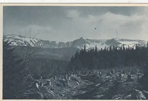 Schneegruben im Jos.-Partsch-Wege ngl G0409