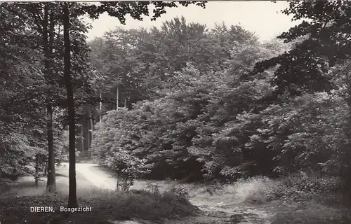 Dieren, Bosgezicht gl1979 F8449