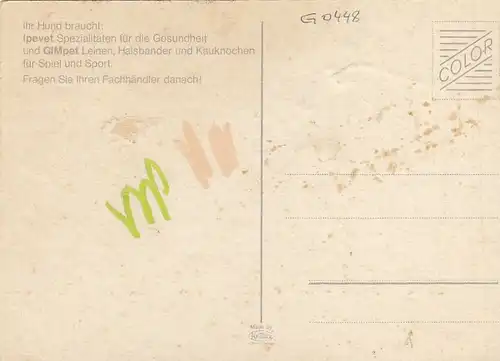 Hund-Portrait, Dogge ngl G0448