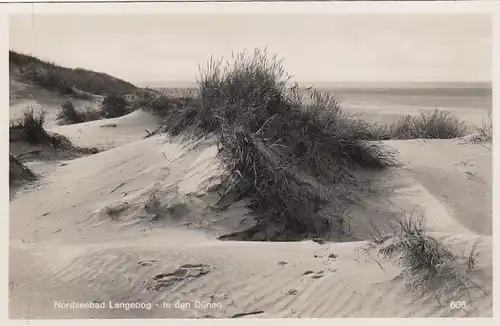 Nordseebad Insel Langeoog, In den Dünen ngl F8672