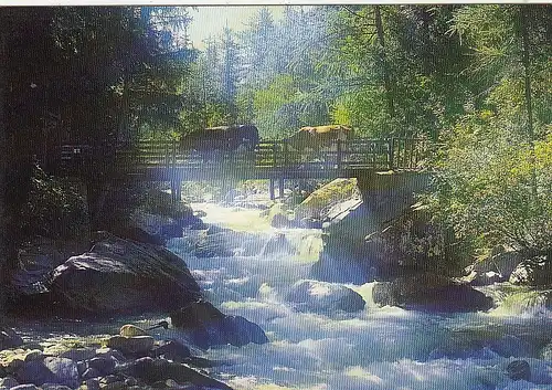 Angolo pittoresco in Valle d'Aosta ngl G1645