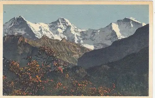 Eiger, Mönch und Jungfrau ngl G1682