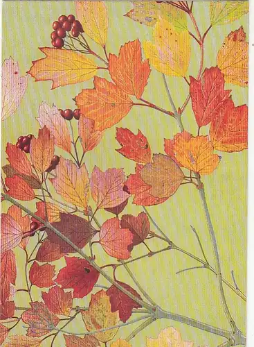 PHILIPPE ROBERT, Leaves - Feuilage glum 1980? G1473