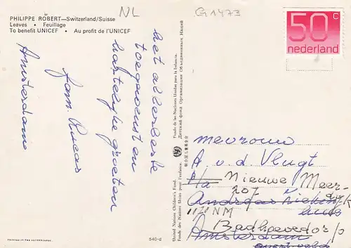 PHILIPPE ROBERT, Leaves - Feuilage glum 1980? G1473