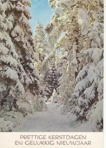 Prettige Kerstdagen en Gelukkig Nieuwjaar gl1975 G1482