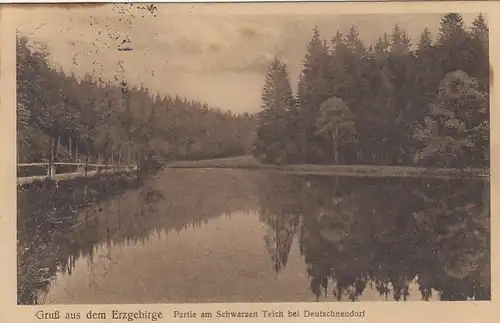 Erzgebirge, Partie am Schwarzen Teich bei Deutschneudorf ngl G0430