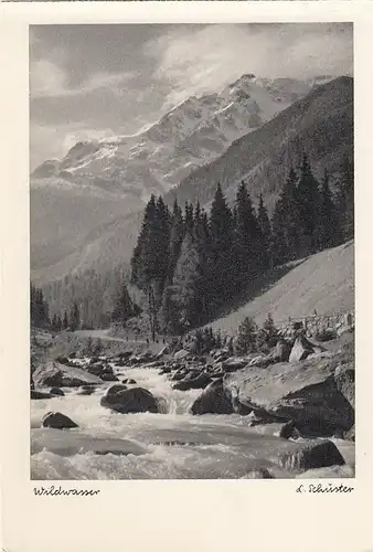 Suldental mit Ortler, Wildwasser ngl G1537