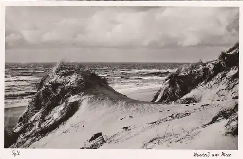 Sylt, Windriß am Meer gl1953 G0052