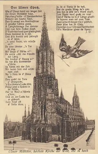 Ulm a.D., Münster, Spatz und Mundartgedicht ngl G3588