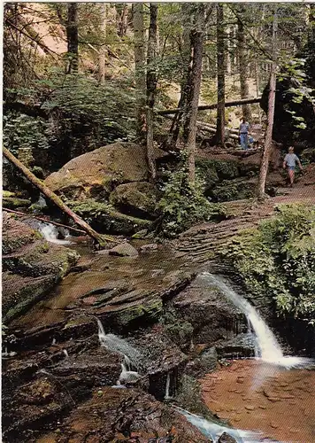 Monbachtal, Schwarzwald, nahe Bad Liebenzell gl1978 G3678