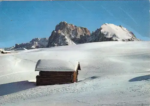 Dolomiti, Alpe di Siusi, Gruppo del Sassolungo gl1985 G1184