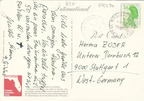 Florida, Orange Groves gl1982 F9370