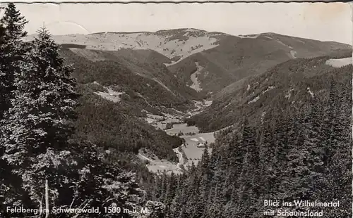 Feldberg im Schwarzwald, Blick ins Wilhelmertal mit Schauinsland gl1961 F8415