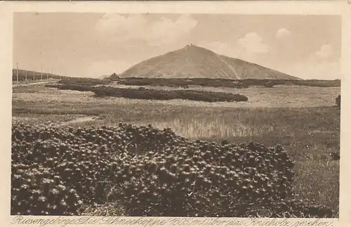 Riesengebirge, die Schneekoppe über das Knieholz gesehen ngl G0332