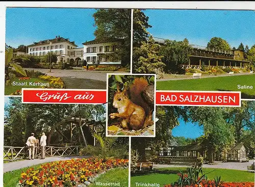 Bad Salzhausen, Mehrbildkarte gl1991 G0701