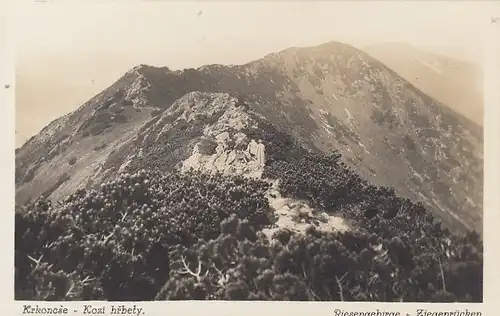 Riesengebirge, Ziegenrücken ngl G0342