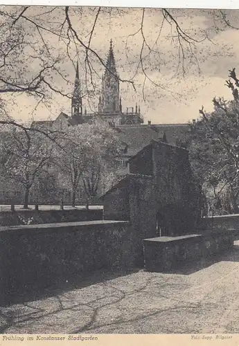 Konstanz am Bodensee, Frühling im Stadtgarten ngl G4213