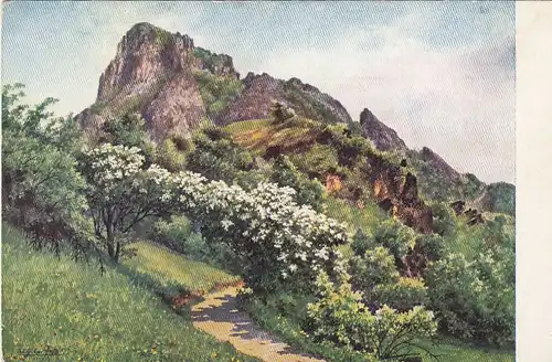 Der Borschen bei Bilin ngl G0405