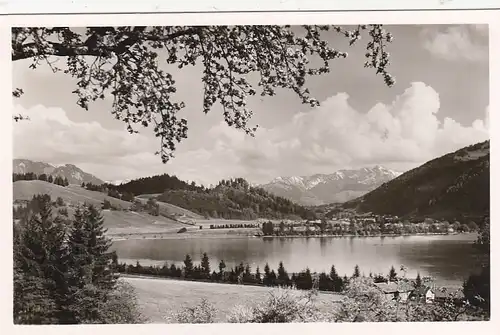 Am g´Großen Alpsee bei Immenstadt im Allgäu ngl F9571