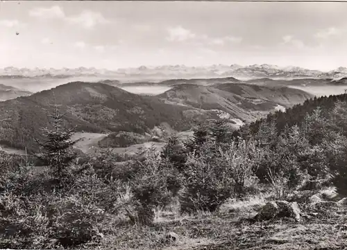 Hochblauen Schwarzwald, Blick nach Südosten auf Schweizer Alpen ngl G4269