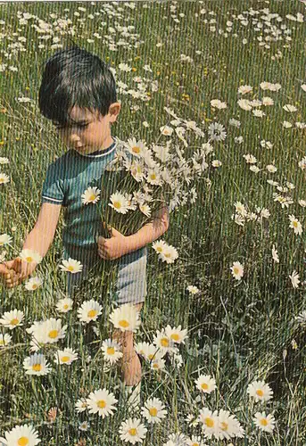 Gruss mit Bub und Margeriten glum 1960? G1463