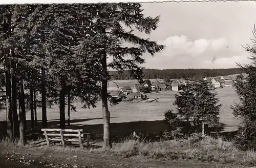 Buntenbock, Oberharz, Teilansicht glum 1960? G2374