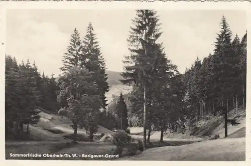Sommerfrische Oberhain, Thür.Wald, Barigauer-Grund gl1960 G0813