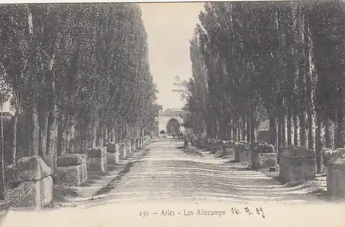 Arles (Bouches-du-Rhône). Les Aliscamps ngl F9113