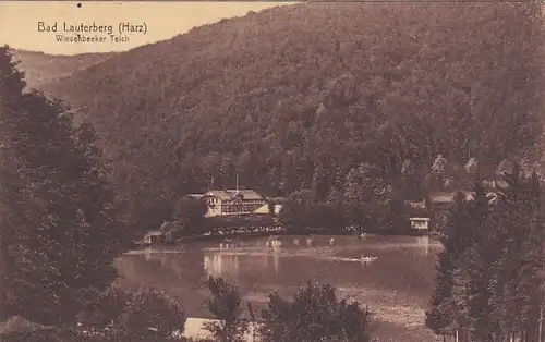 Bad Lauterberg im Harz, Wiesenbeeker Teich gl1917 G2538