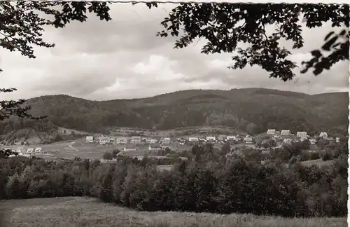 Zorge, Südharz, Uhdenbergsiedlung gl1965 G2547