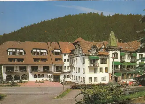 Baiersbronn-Schönmünzach, Schwarzwald, Privatklinik Dr.Selzer ngl G4390