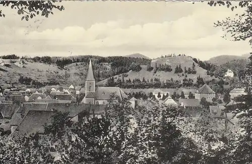 Scharzfeld/Harz, Panorama gl1959 G2514