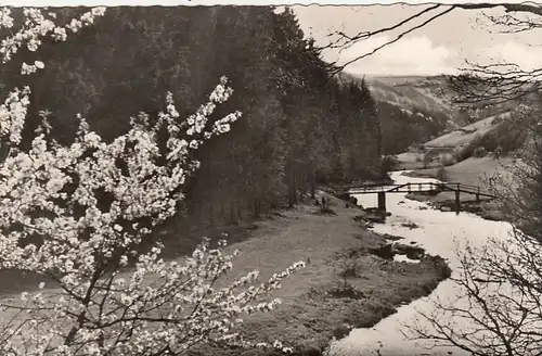 Das Rurtal bei Monschau (Eifel) ngl G1819